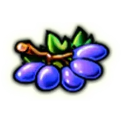 Grapes